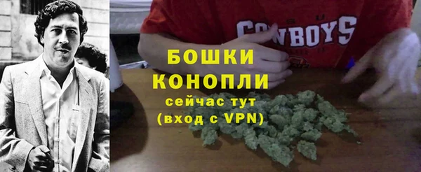 mix Богородск