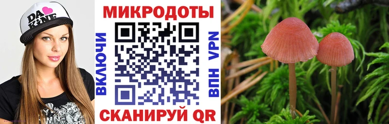 Псилоцибиновые грибы прущие грибы  Дубна 