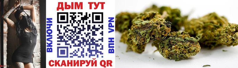 Каннабис SATIVA & INDICA  Дубна 